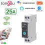 Умный Wi‑Fi автомат Tongou TO-Q-SY1-JWT 25А