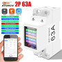 WiFi счётчик электроэнергии Atorch GR2PWS 100A двухтарифный Tuya DIN