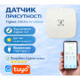 Датчик присутствия Zigbee 24GHz mmWave настенный USB Tuya Smart Life