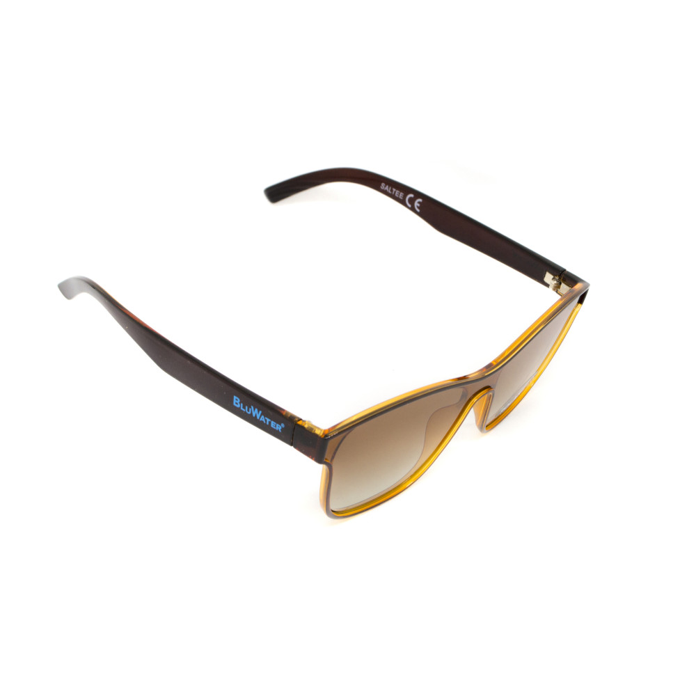 Очки поляризационные BluWater Saltee Polarized (gradient brown), коричневые с градиентом в коричневой полупрозрачной оправе
