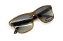 Очки поляризационные BluWater Saltee Polarized (gradient gray), серые с градиентом линзы в коричневой полупрозрачной оправе