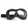 Очки защитные с уплотнителем Global Vision Big Ben KIT Anti-Fog, сменные линзы