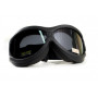 Очки защитные с уплотнителем Global Vision Big Ben KIT Anti-Fog, сменные линзы