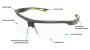 Защитные очки Pyramex Truflex Grey-Lime (clear) Anti-Fog, прозрачные в серо-лаймовой оправе